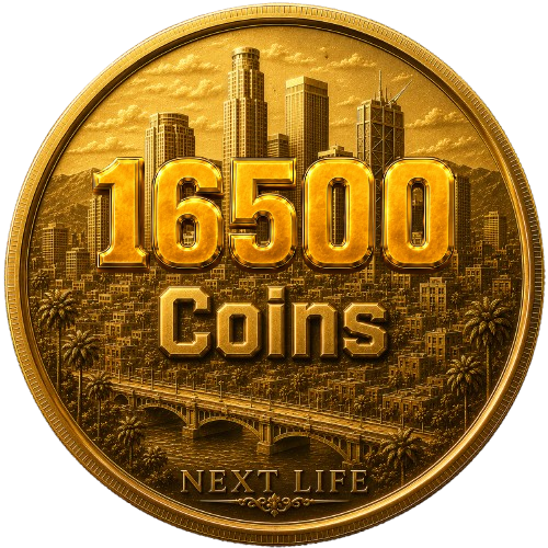 16500 Coins